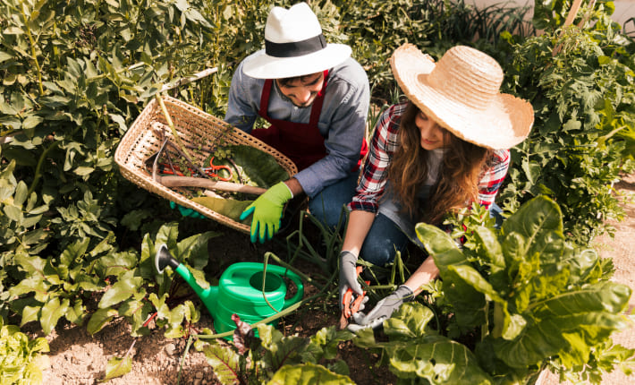 Asesoramiento agrario y ambiental