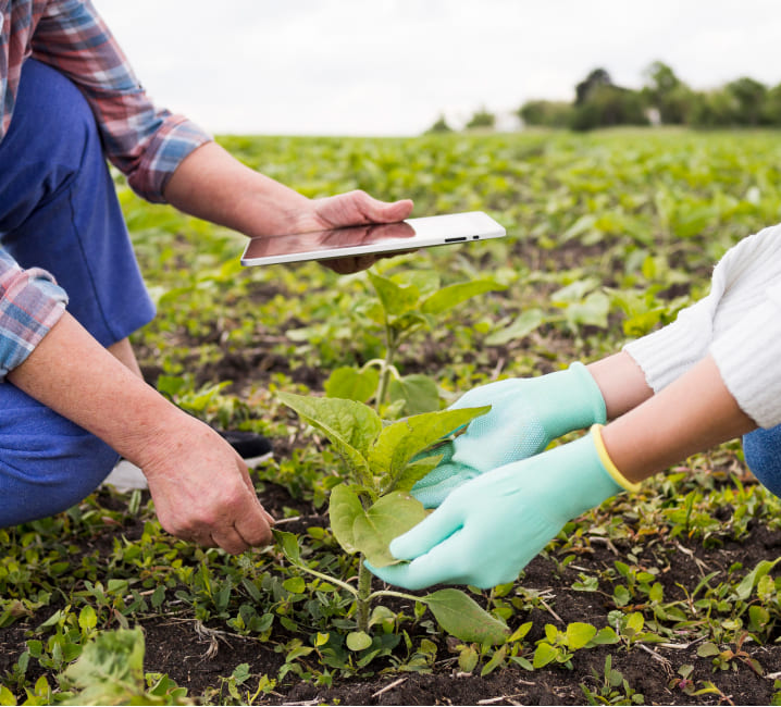 Asesoramiento agrario y ambiental