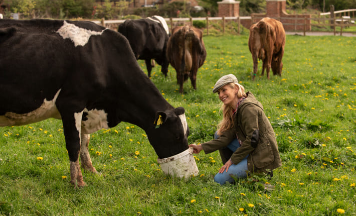 Asesoramiento por el bienestar animal en la ganadería