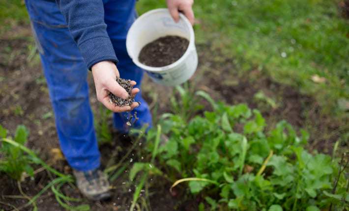 Asesoramiento sobre la gestión de la fertilización agrícola