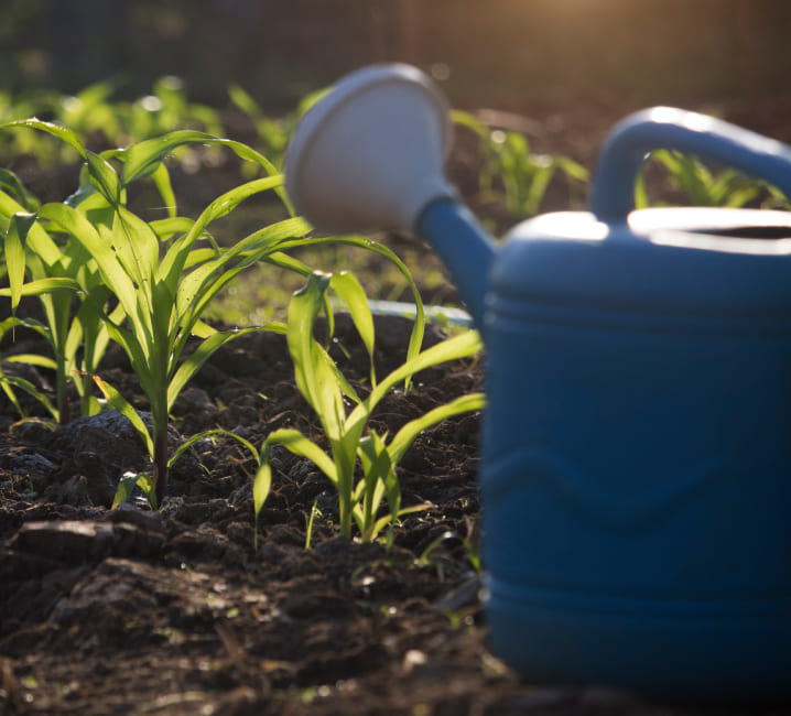 Asesoramiento sobre la gestión de la fertilización agrícola