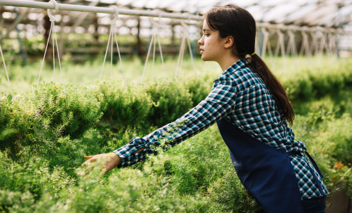 Asesoramiento sobre producción agraria ecológica