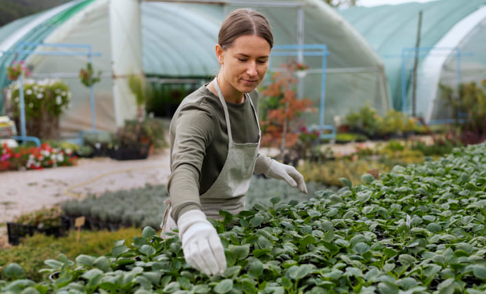 Asesoramiento sobre producción agraria ecológica