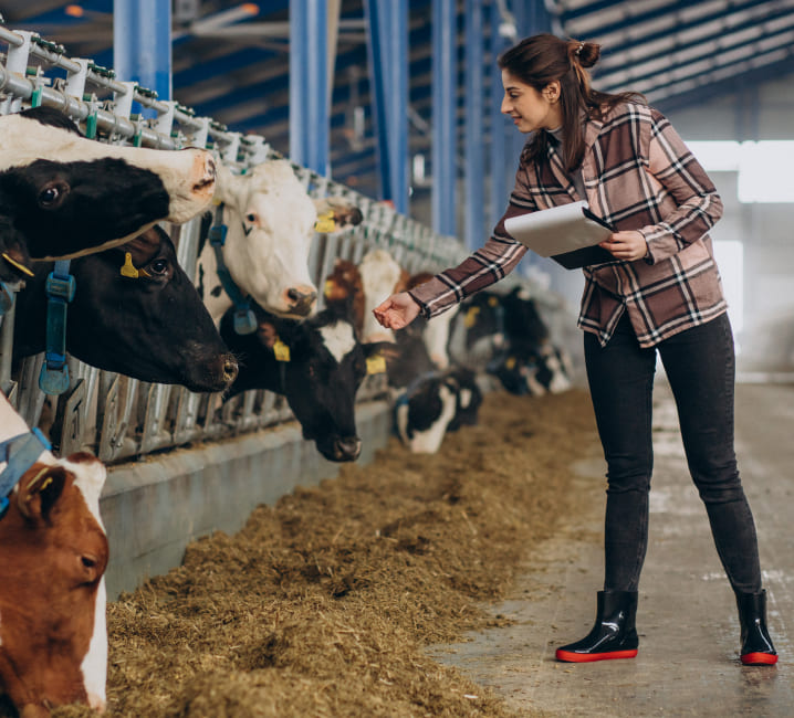 Asesoramiento sobre producción ecológica ganadera