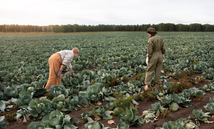Asesoramiento sobre protocolos productivos agroalimentarios