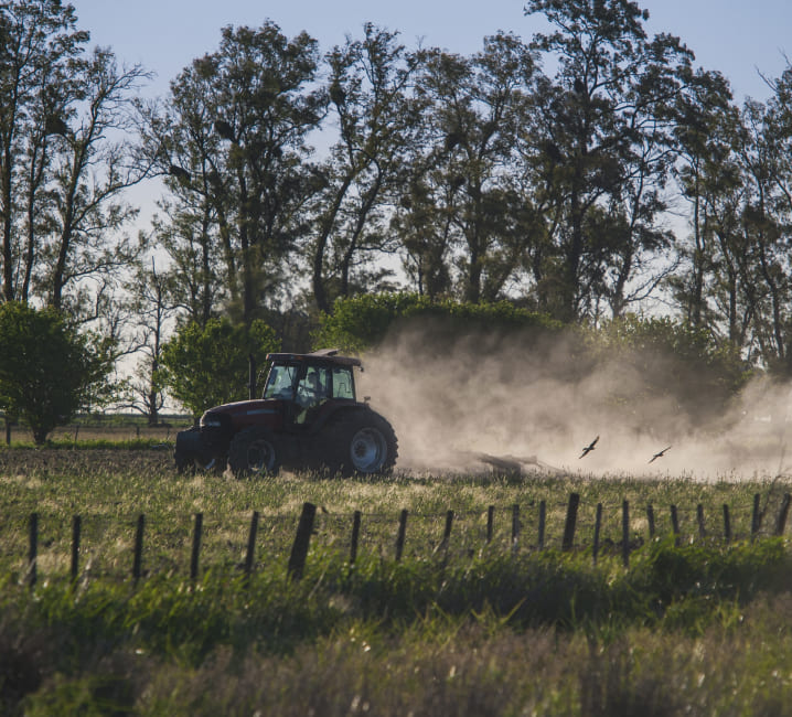 Asesoramiento sobre protocolos productivos agroalimentarios