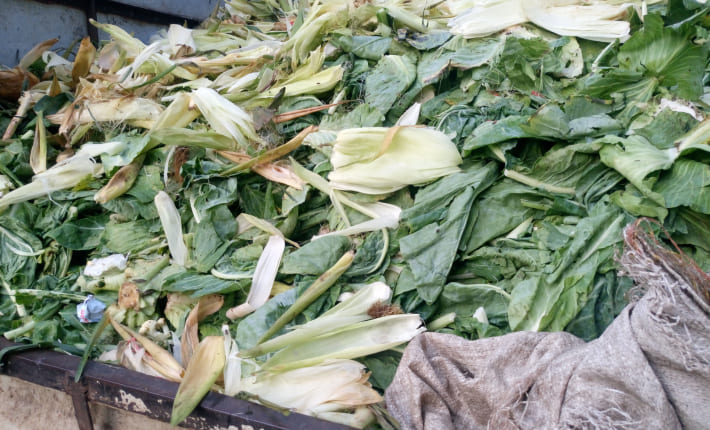 Gestión de residuos agroalimentarios