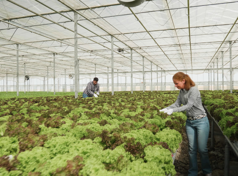 Asesoramiento sobre producción agraria ecológica