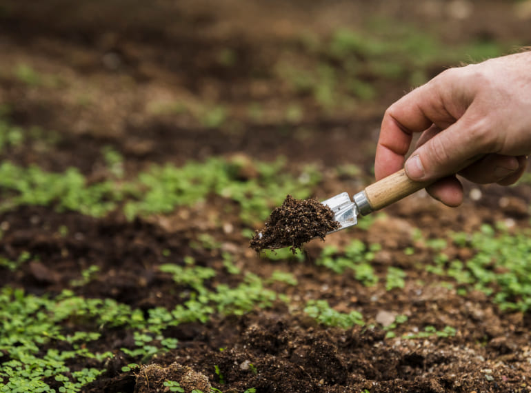 Asesoramiento sobre la gestión de la fertilización agrícola