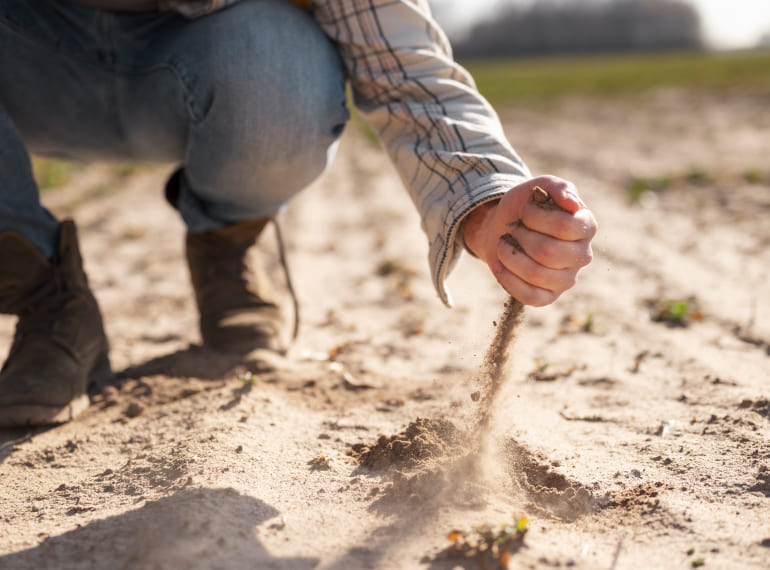 Cuaderno integral de explotaciones agrícolas