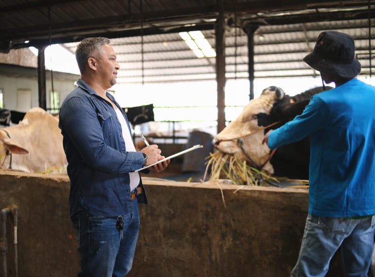 Asesoramiento por el bienestar animal