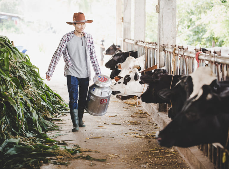 Asesoramiento sanitario, productivo y medioambiental