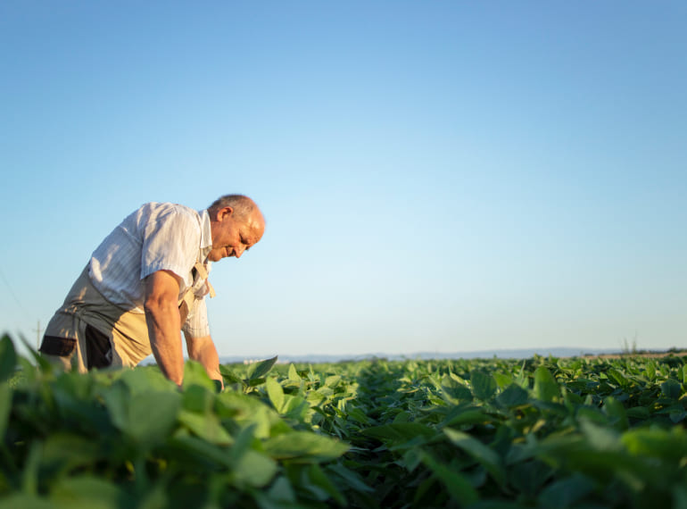 Asesoramiento sobre protocolos productivos agroalimentarios