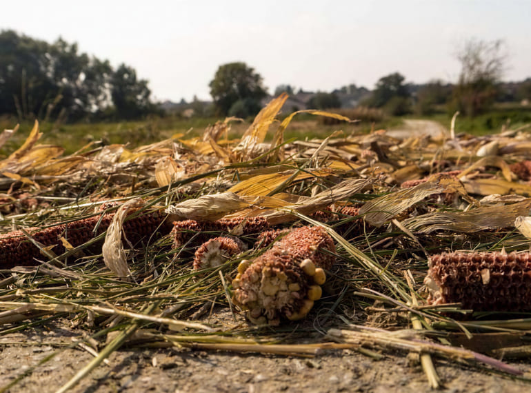Gestión de residuos agroalimentarios