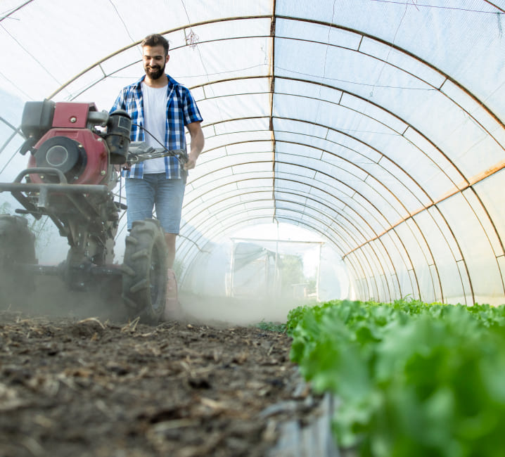 Gestoría y asesoría para la industria agroalimentaria