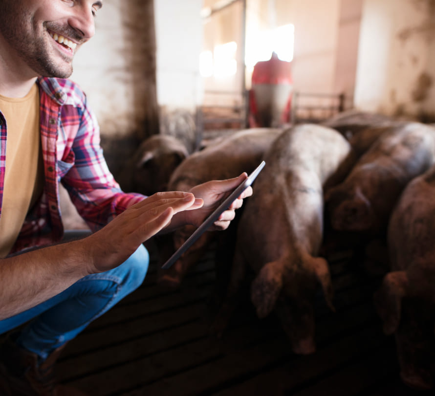 Asesoramiento sanitario, productivo y medioambiental para la ganadería