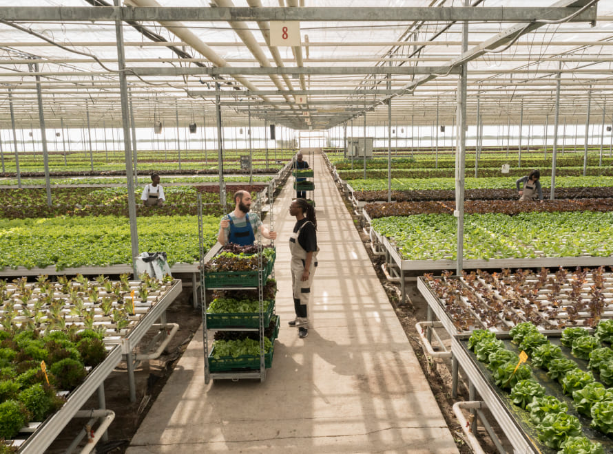 Tramitaciones y ayudas para la industria agroalimentaria