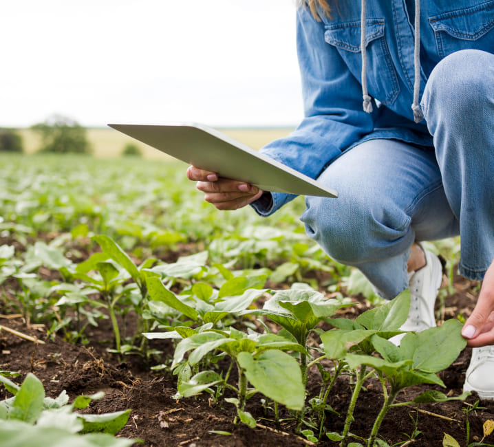 Legalización de proyectos agroalimentarios