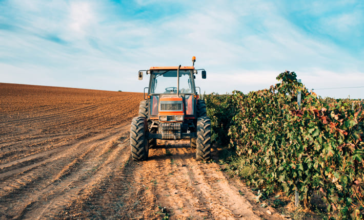 Seguros agrícolas