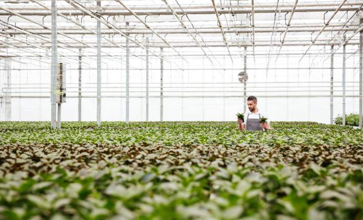 Seguros para la industria agroalimentaria