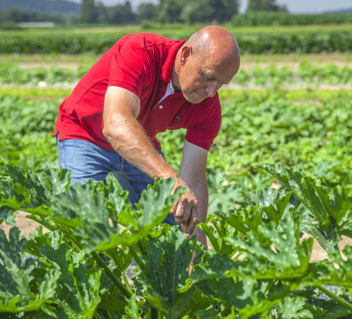 Tramitaciones y ayudas agrícolas