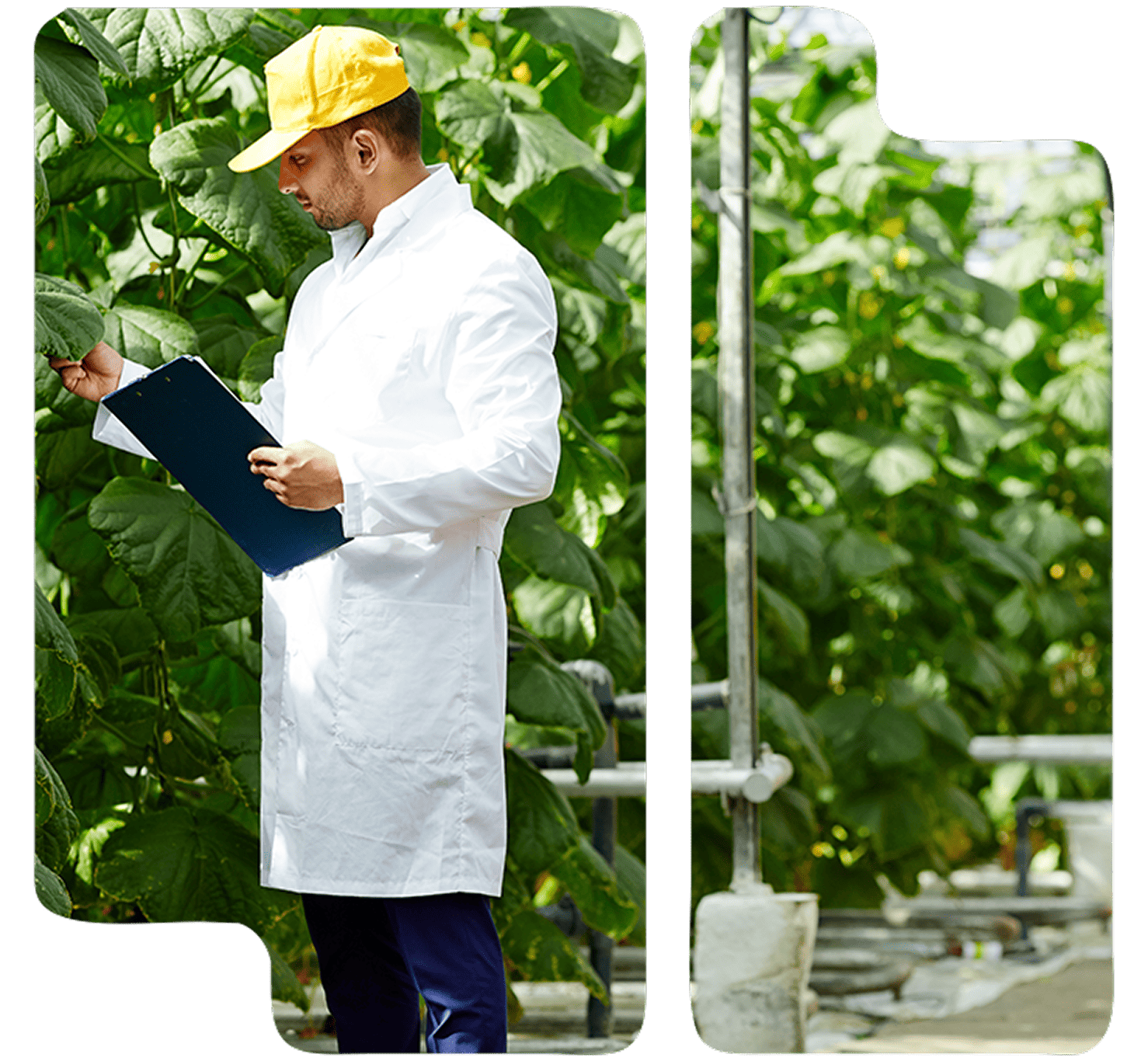 Tramitaciones y ayudas para la industria agroalimentaria