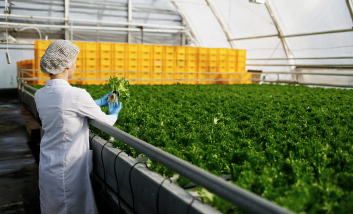 Tramitaciones y ayudas para la industria agroalimentaria