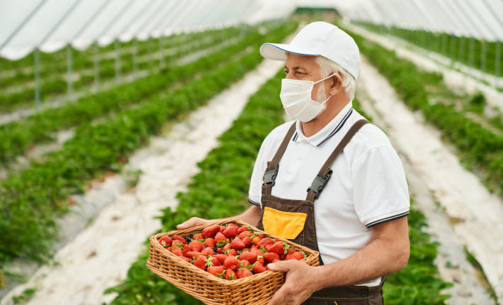 Tramitaciones y ayudas para la industria agroalimentaria