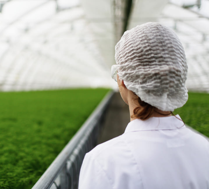 Tramitaciones y ayudas para la industria agroalimentaria