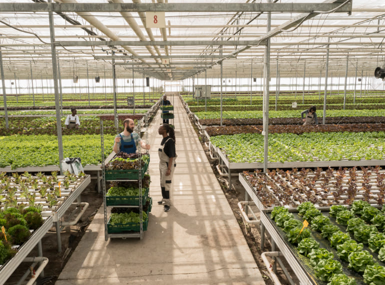 Tramitaciones y ayudas para la industria agroalimentaria