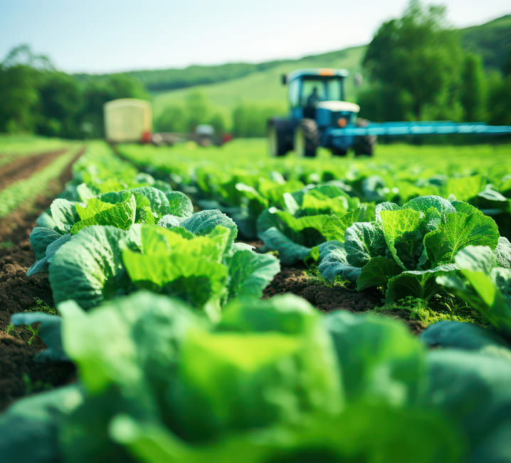 Tramitaciones y ayudas